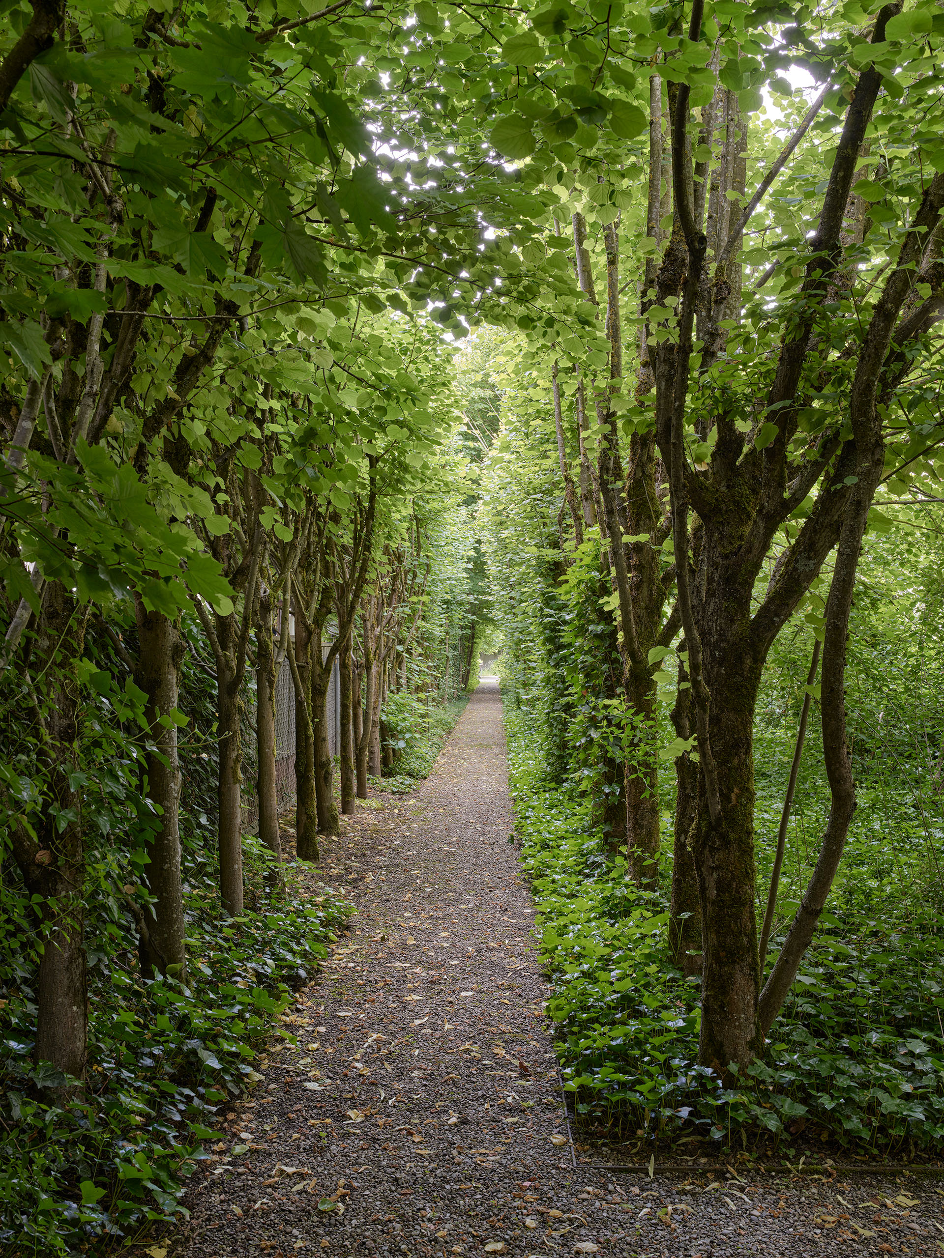 E17644 LA255 AIQ4 009802